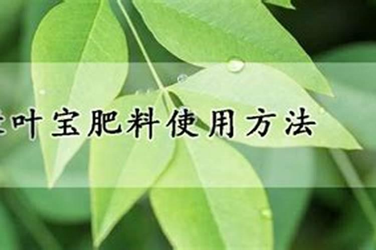 可以用绿叶宝肥料给蔬菜施吗？