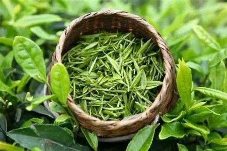 在日常生活中如何识别茶叶里的农药残留物是否达标？