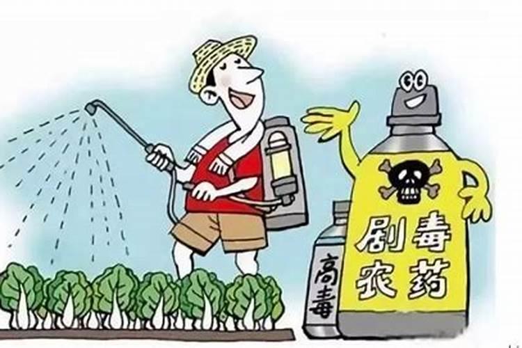 什么可以代替农药？