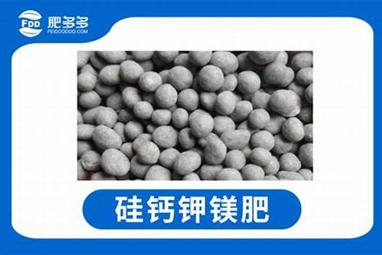 硅钙肥能改善盐碱地吗