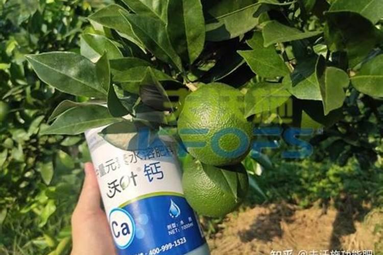 钙肥和哪些不能混用,钙肥冲施好还是叶面喷施好