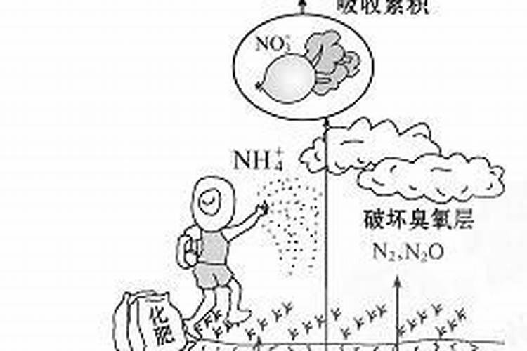 施肥对土壤的污染