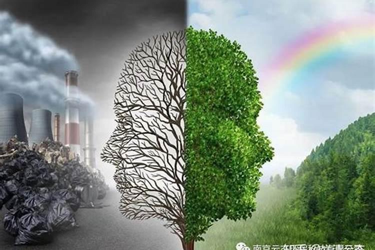 环境问题有哪些？