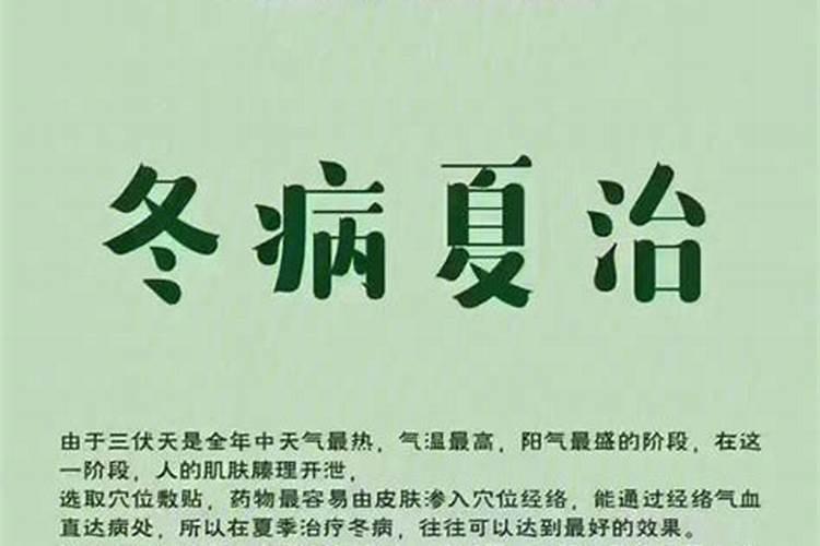 三伏天打药需要注意什么？