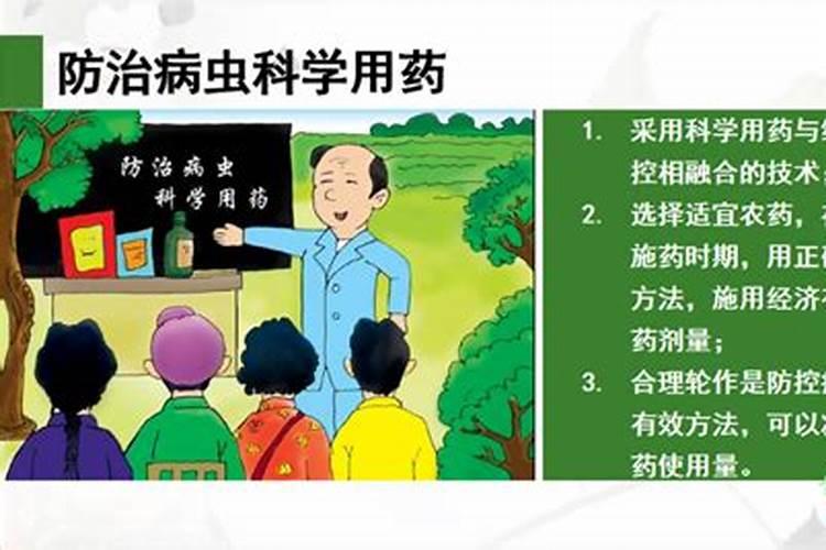 掌握科学施药保护绿色未来