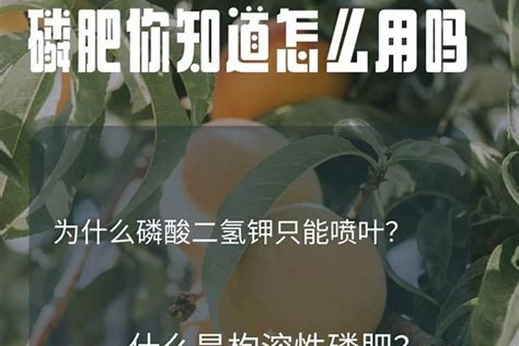 慧眼识珠：如何精准鉴别磷肥的质量？