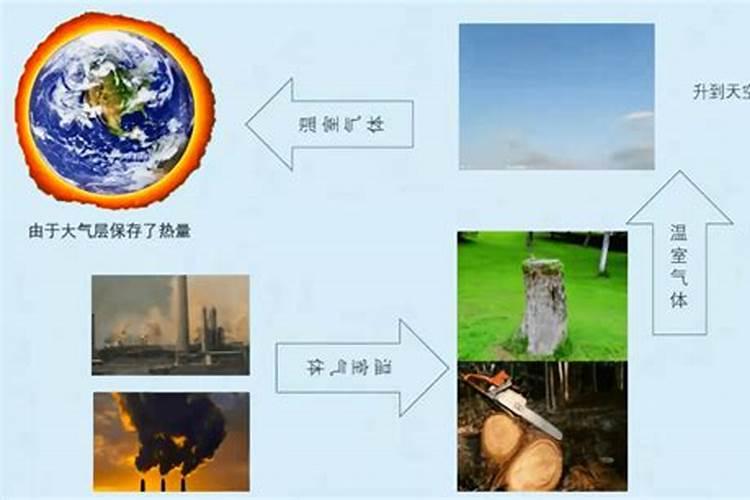 保护地蔬菜主要有哪些气体危害？