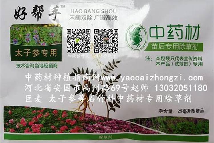 中药材种植化学除草“六注意”