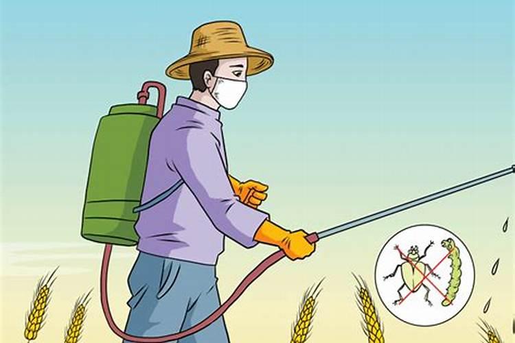 乳油型农药的正确施用：保障作物健康，促进农业发展