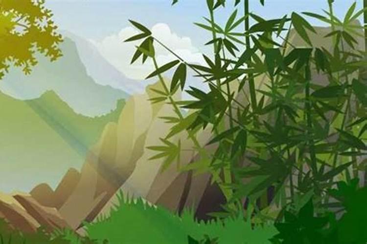 森林低温害是什么森林气温低的原因