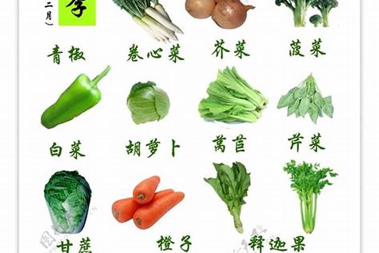 蔬菜无病虫冬季有妙招：守护绿色健康，共享美好未来