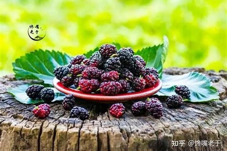 吃了桑葚里的小白虫怎么办？
