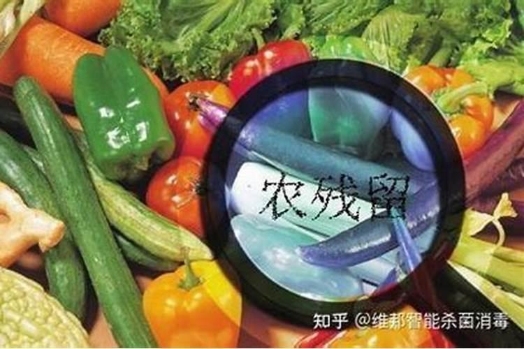 守护食品安全：四种有效去除蔬菜上农药的方法？