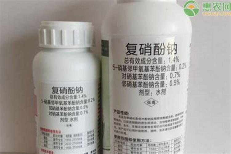 常用植物生长调节剂的药害症状是怎样的？