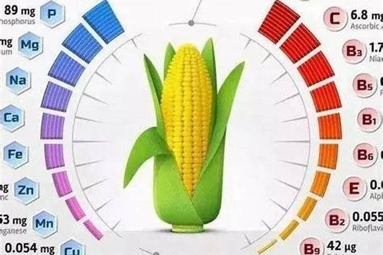 玉米大量元素都有哪几个组成？