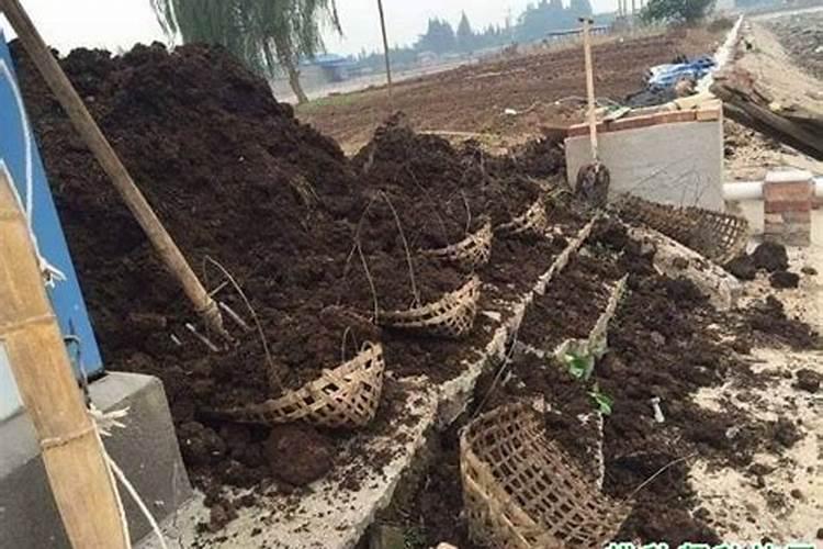 土壤双璧：农家肥与化肥共舞的六重奏