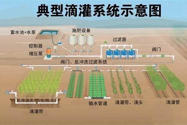 土罐微渗灌溉技术