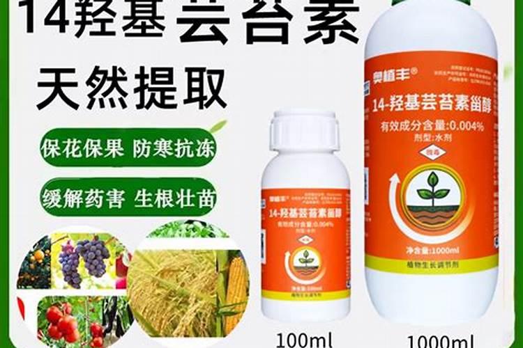 芸苔素甾醇是芸苔素内酯么为什么？