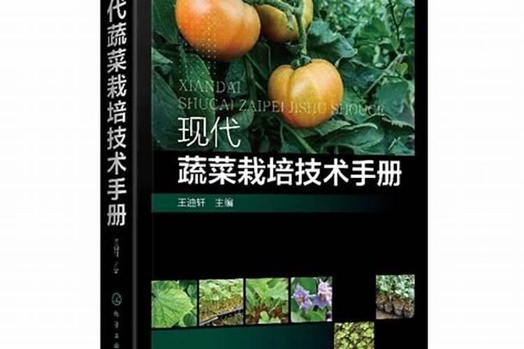 蔬菜种子的防病技术