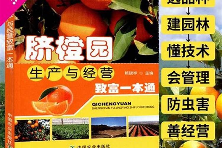 脐橙病虫害防治的科学策略与实践