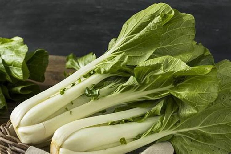 油菜缺素症状及其对策