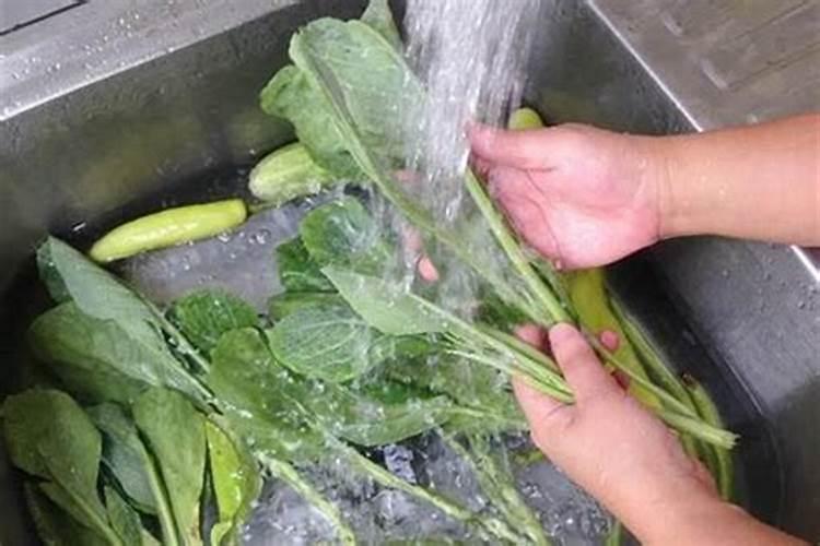 生菜：农药残留的真相