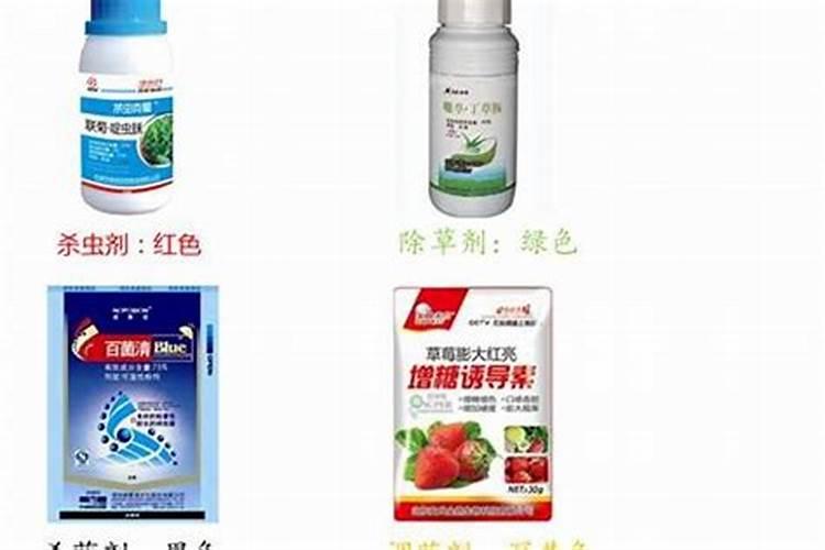 田间守护者：农药常见剂型及使用要点解析