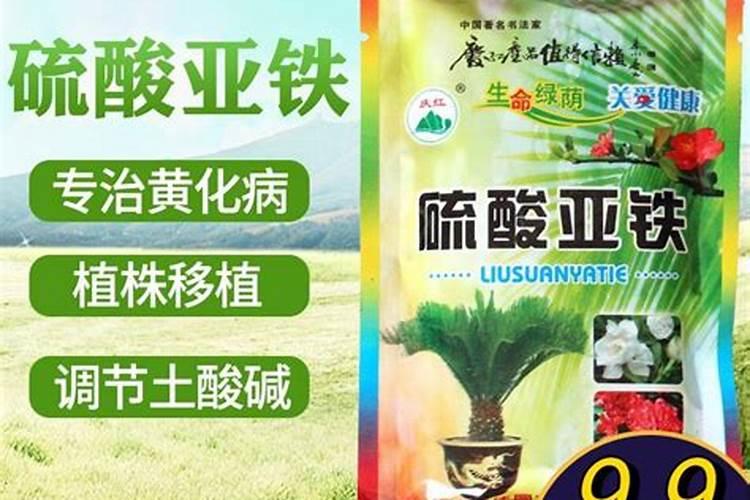 养花如何使用硫酸亚铁养花常用什么肥料