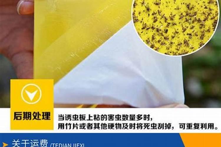 防虫板怎么使用方法防虫板正确使用方法