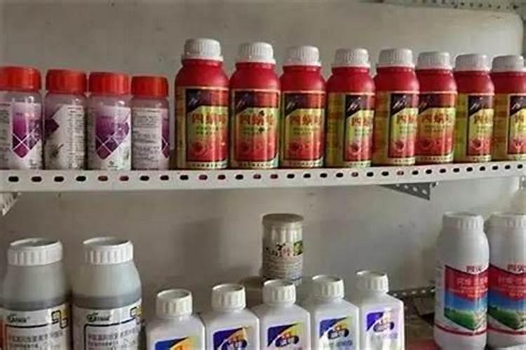 绿色守护者：掌握农药应用的四大技术