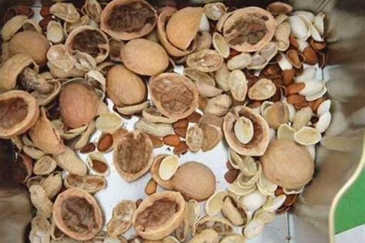 核桃壳的妙用：自然花肥料的绝佳选择