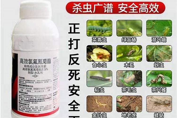 蔬菜土壤杀虫剂有哪些