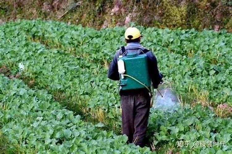 喷施农药应注意什么？你有哪些了解？