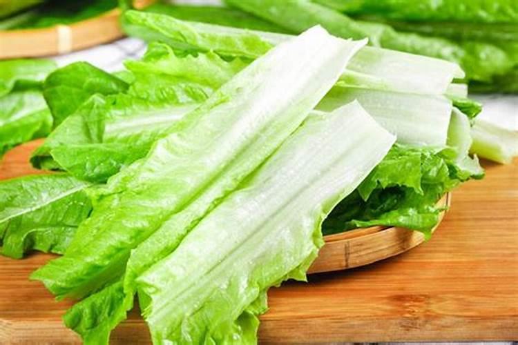 绿意盎然：揭秘牧草种植的黄金条件
