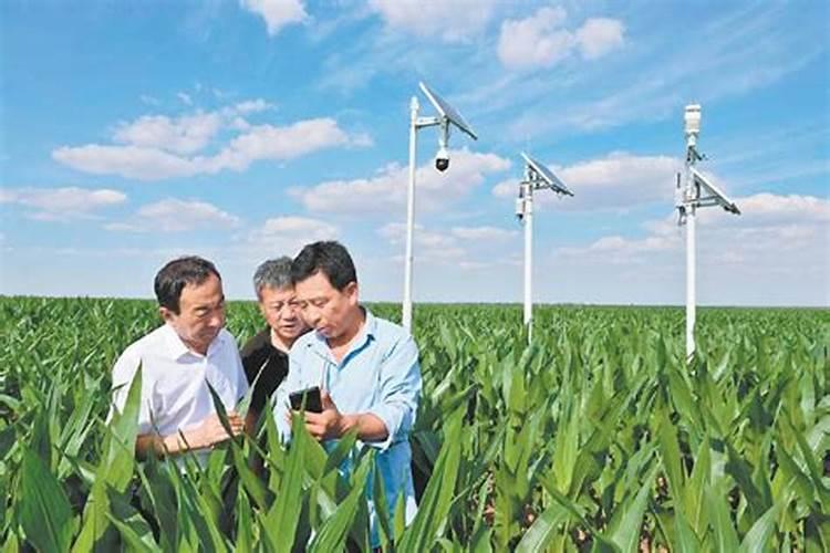 田间地头的智慧：科学施药与农业可持续性