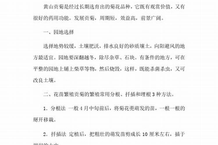 黄山贡菊优质高产栽培技术