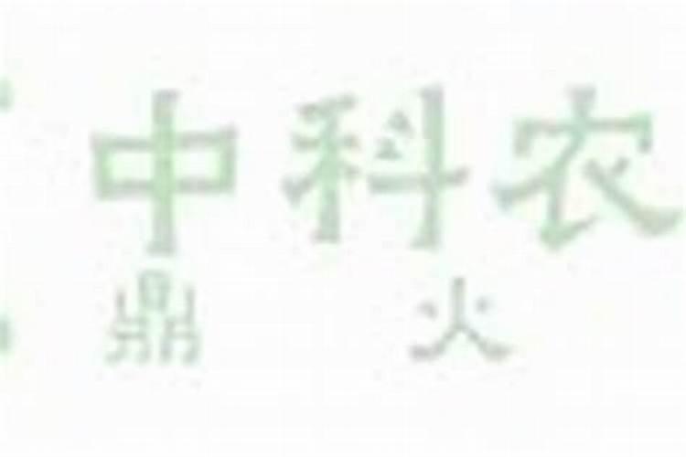 迎接冬季：确保蔬菜大棚管理，保障绿色生长