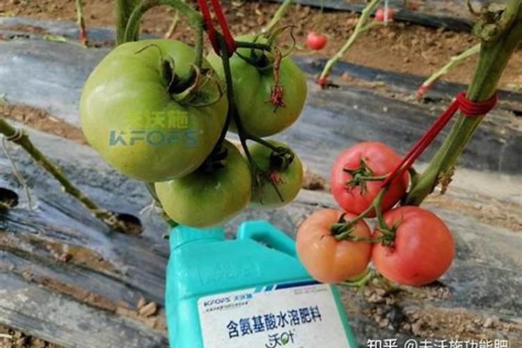 水溶肥特点是什么