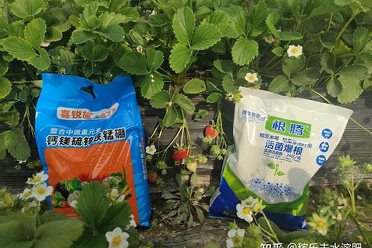 有机水溶肥具有哪些优势呢？