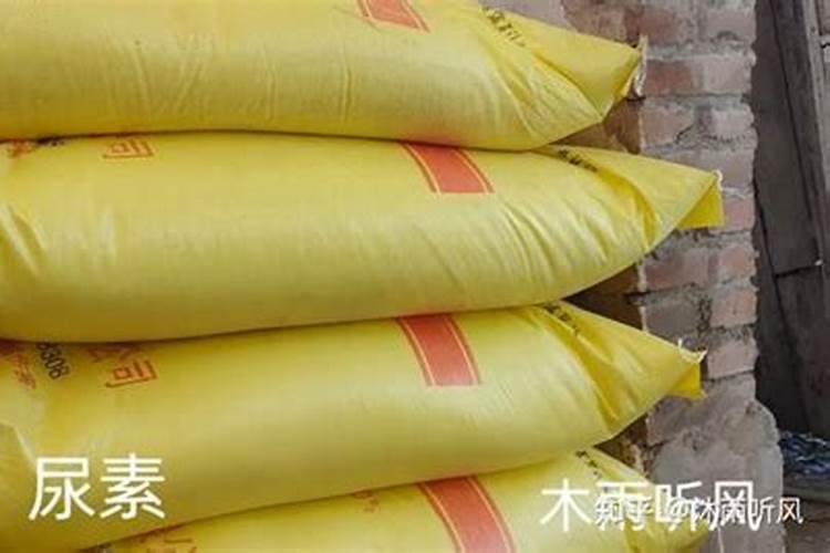 尿素和铵态氮肥如何选用才得当？