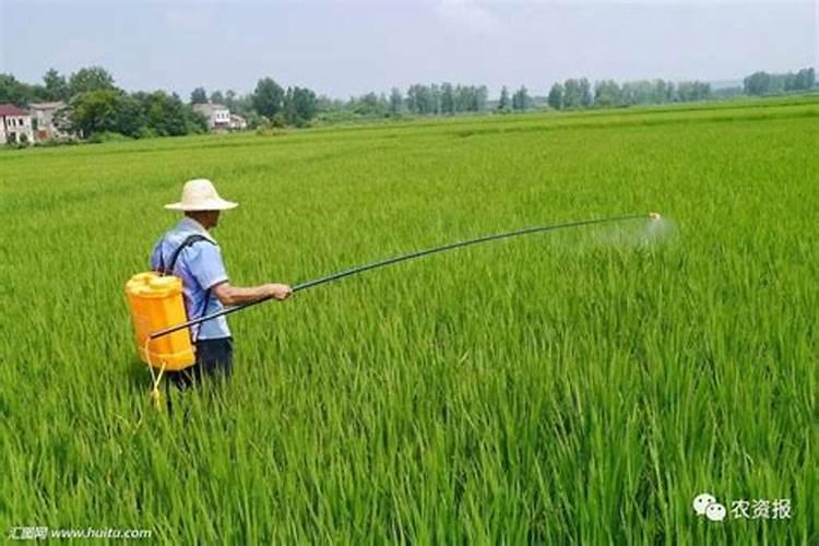 农药混用指南：原则与注意事项