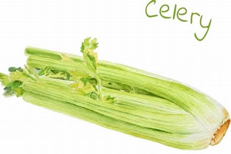 秋冬茬西芹病虫防治：策略与实践