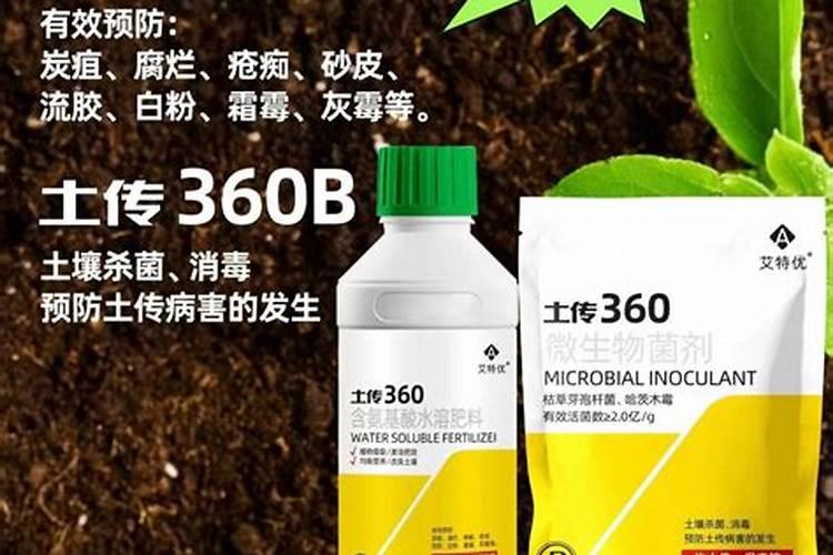 战胜作物之敌：高效防治根腐病的农药使用指南