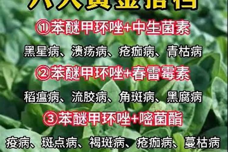 防治蔬菜病害可用苯醚甲环唑