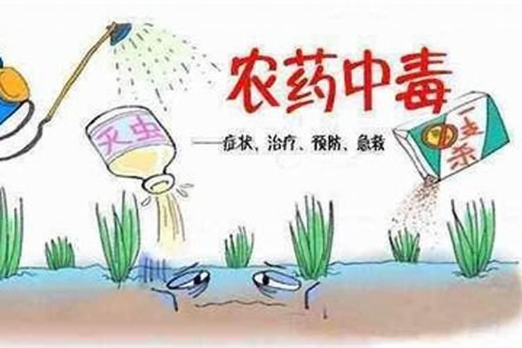 药害紧急应对：如何有效补救与防范？
