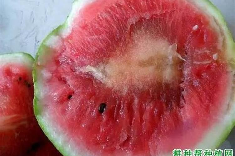 导致西瓜出现畸形瓜的原因？