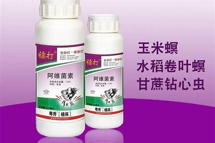 水稻守护者：杀虫剂的科学使用与注意事项