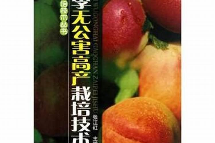 无公害杏栽培技术