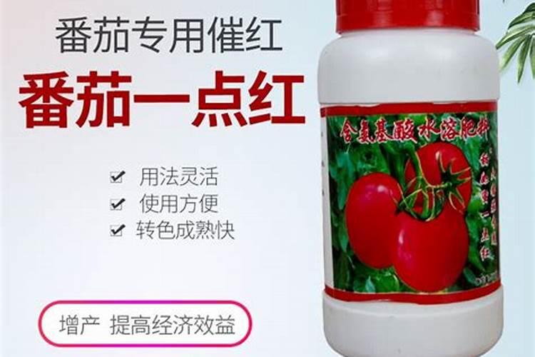 请问番茄催熟用什么催熟剂好