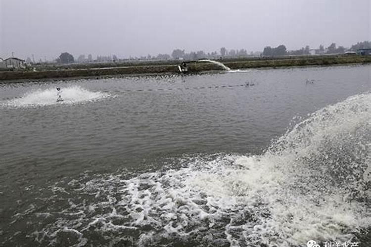 水产养殖户向池塘泼洒药物时要注意什么问题？